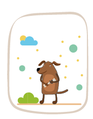 dog