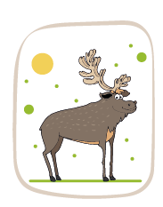 elk